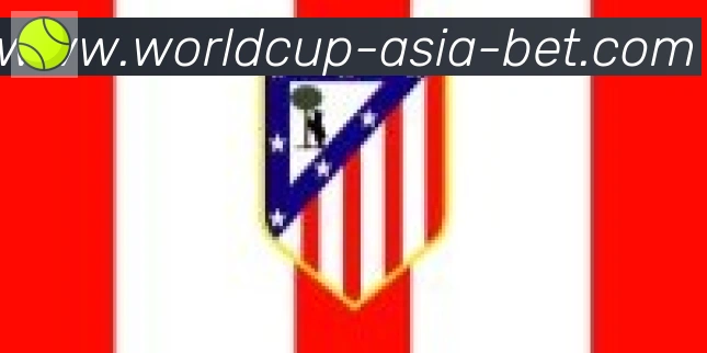 阿根廷世界杯买球入口合作伙伴